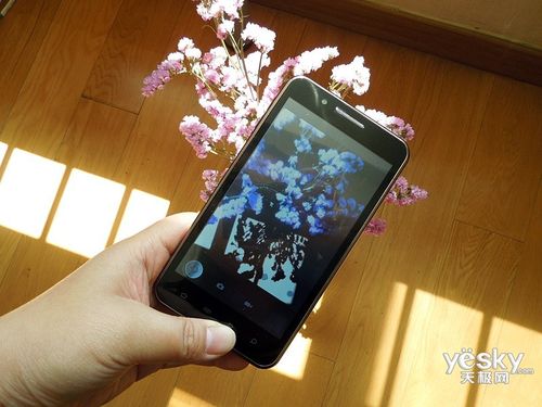 云台P500与双子星云台 专业影像稳定的双雄解析